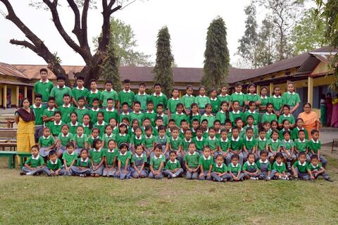 Green-Group