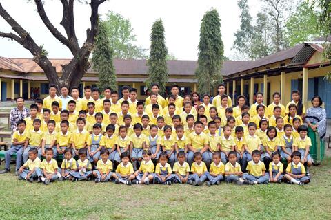 Yellow-Group